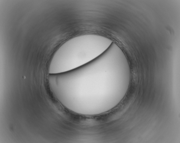 X0000114240594200910091350