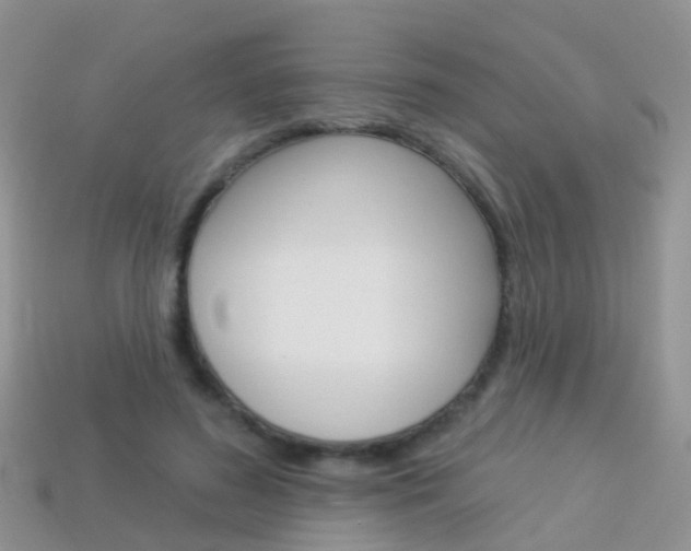 X0000114240596200910091350