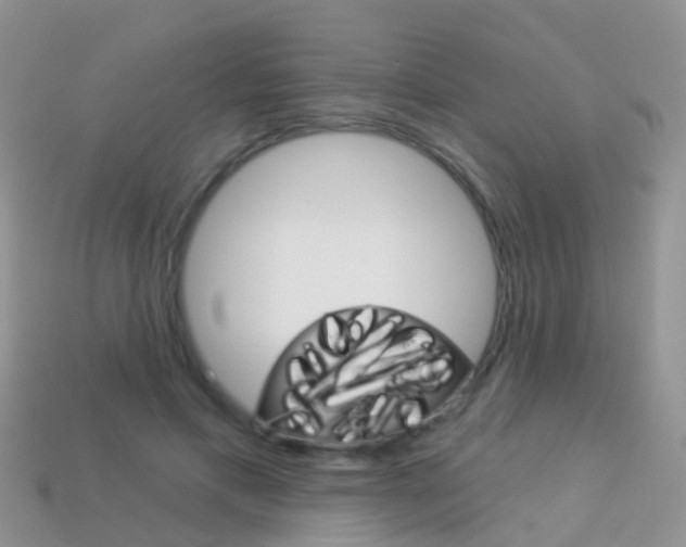 X0000114240597200910091350
