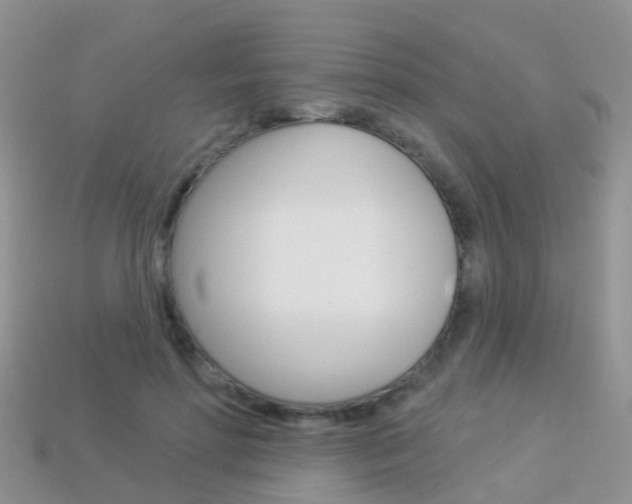 X0000114240598200910091350