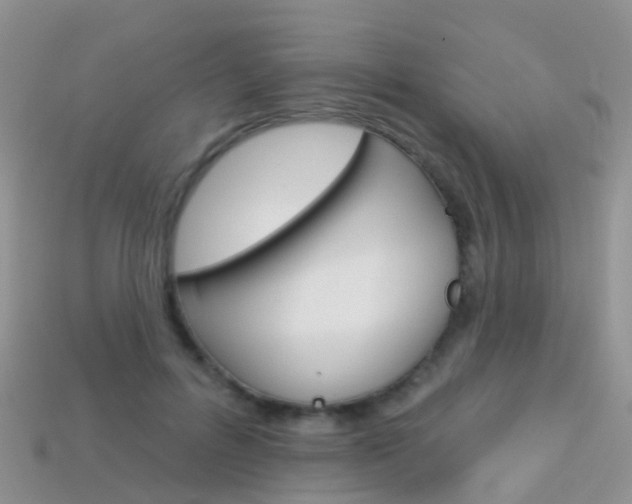 X0000114240600200910091350