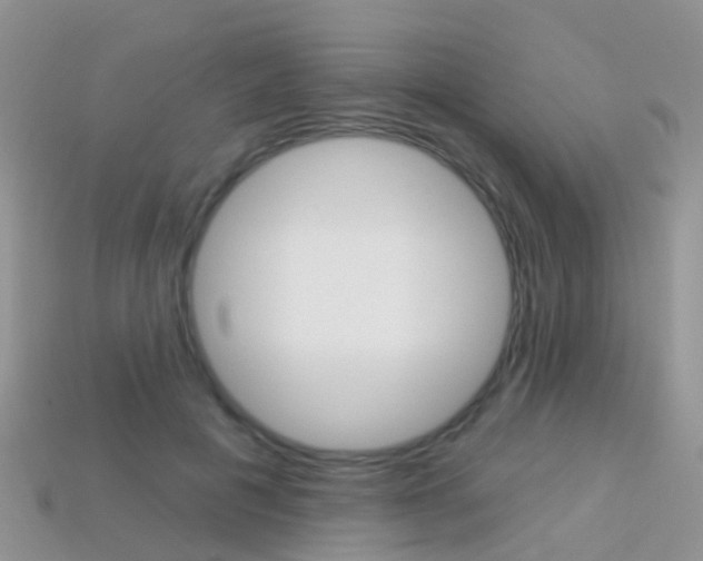 X0000114240601200910091350