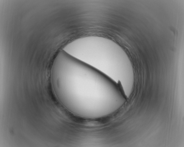X0000114240605200910091350