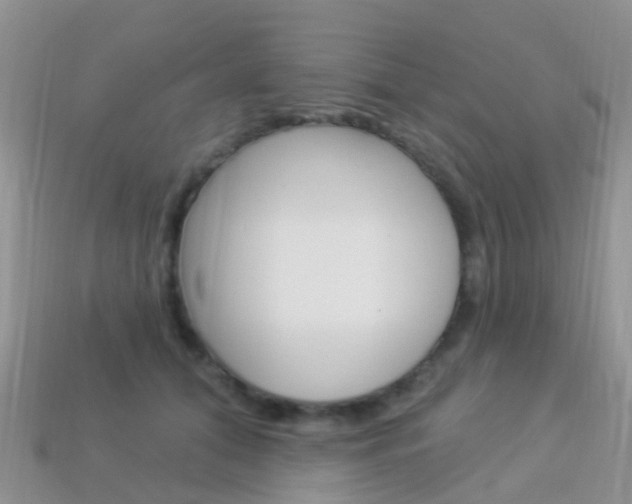 X0000114240608200910091350