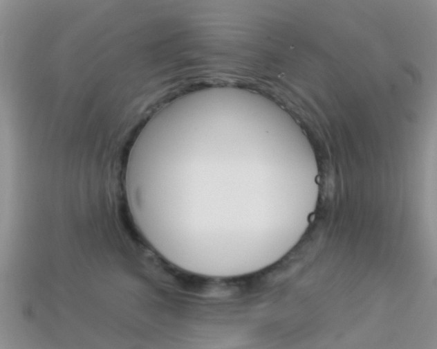 X0000114240616200910091350