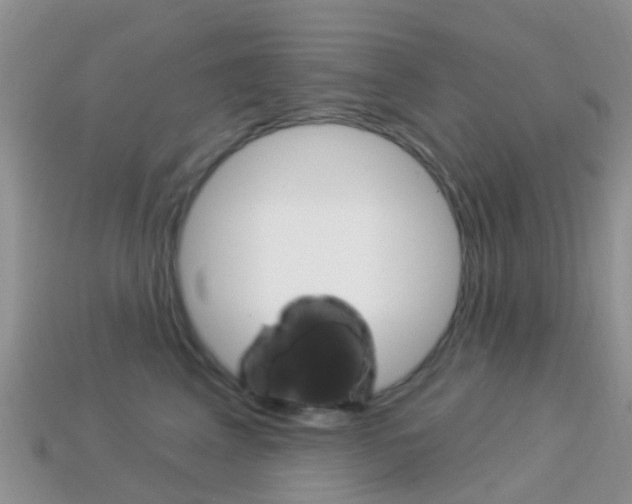 X0000114240617200910091350