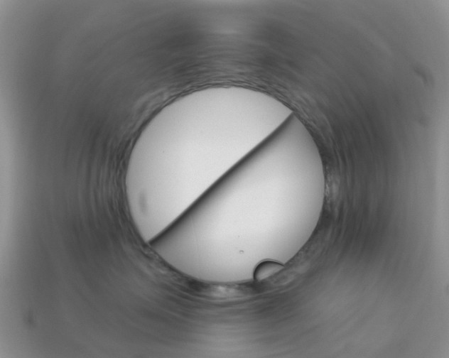 X0000114240623200910091350