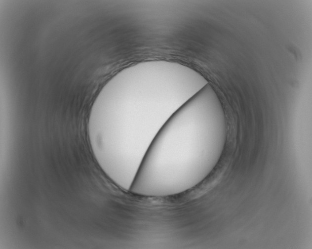 X0000114240624200910091350
