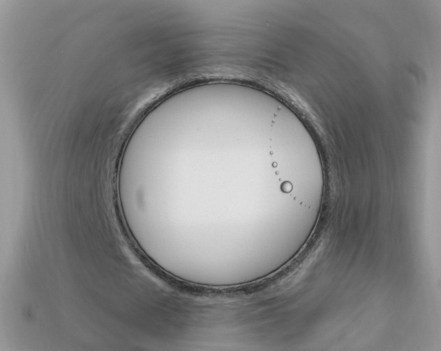 X0000114240625200910091349