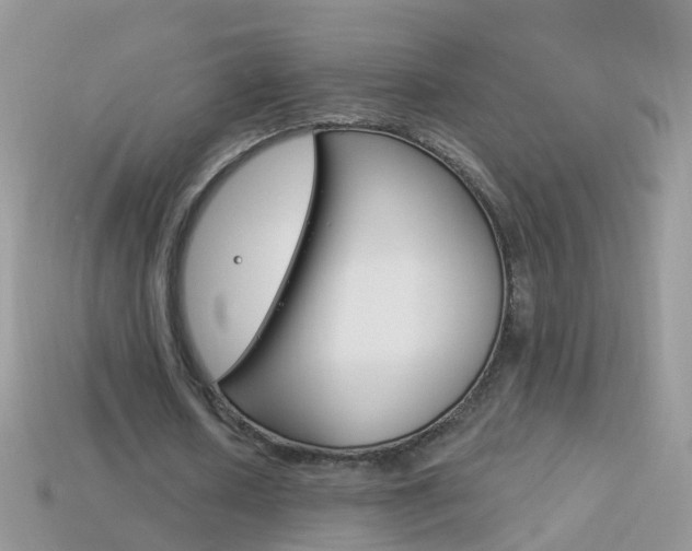 X0000114240626200910091349