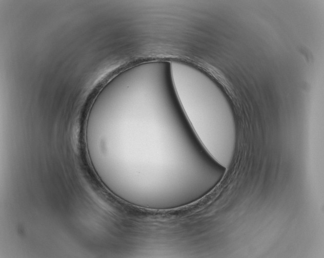 X0000114240627200910091349