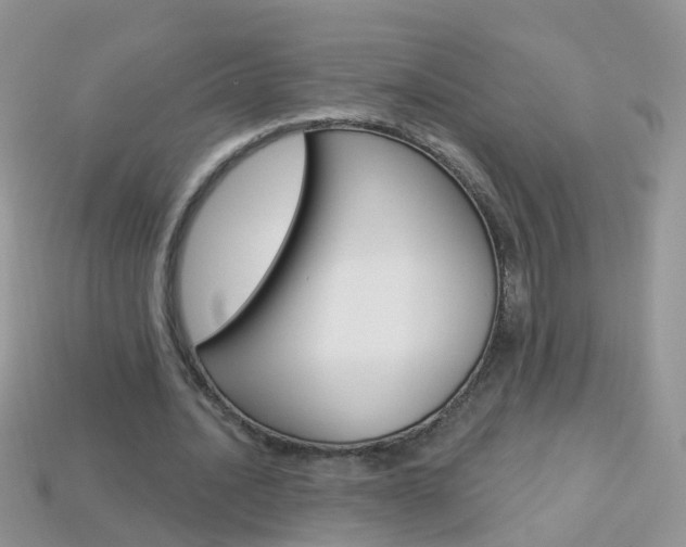 X0000114240628200910091349