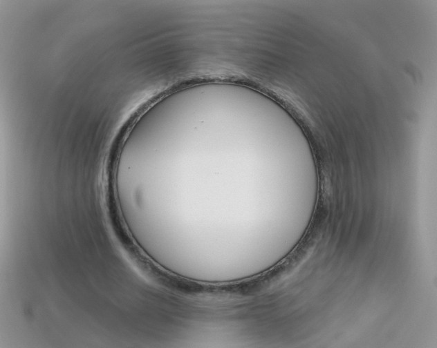 X0000114240630200910091349
