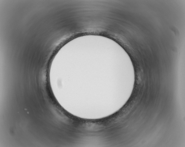 X0000114240632200910091349