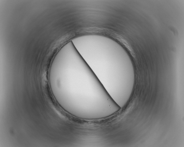 X0000114240633200910091349
