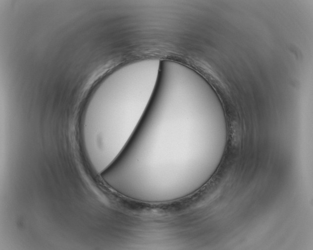 X0000114240634200910091349