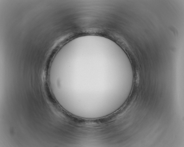 X0000114240636200910091349