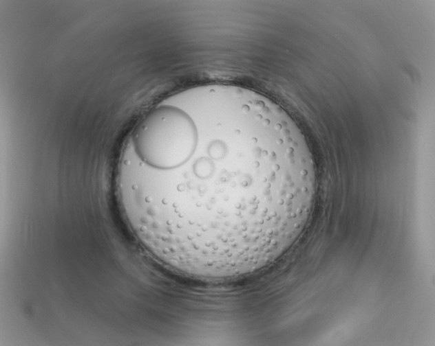 X0000114240639200910091349