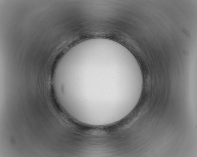 X0000114240644200910091350