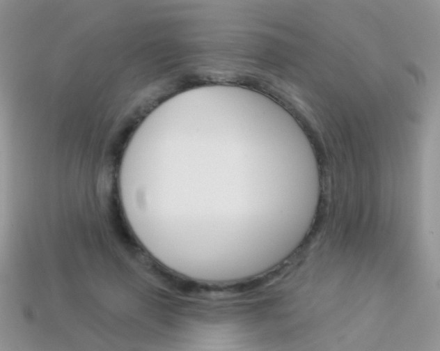 X0000114240645200910091350