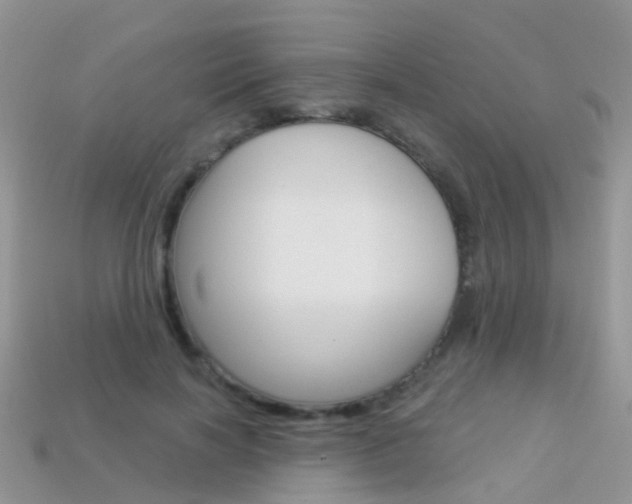 X0000114240646200910091350