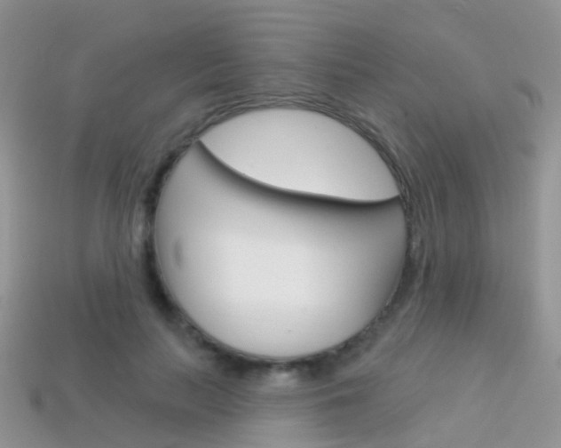 X0000114240647200910091350