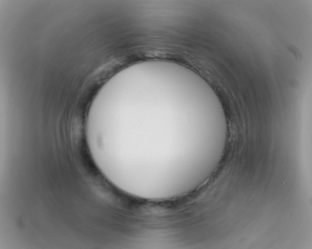 X0000114240648200910091350