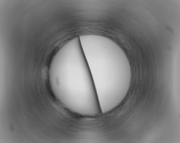 X0000114240649200910091350