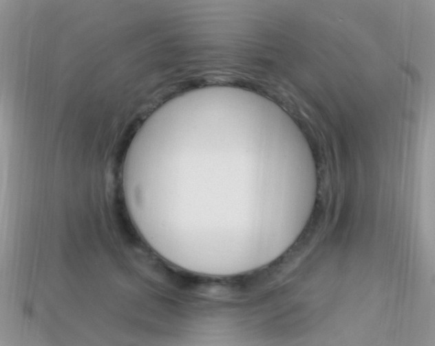 X0000114240655200910091350