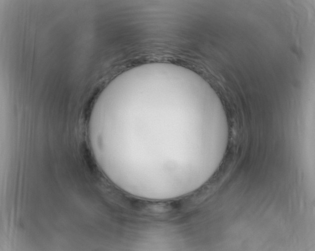 X0000114240659200910091350