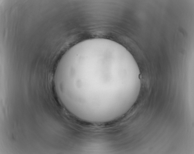 X0000114240660200910091350