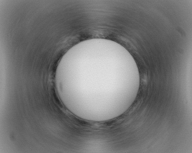 X0000114240663200910091350