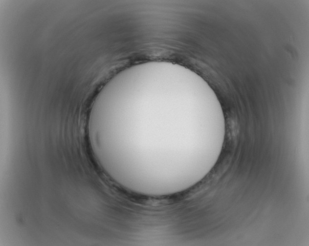 X0000114240664200910091350