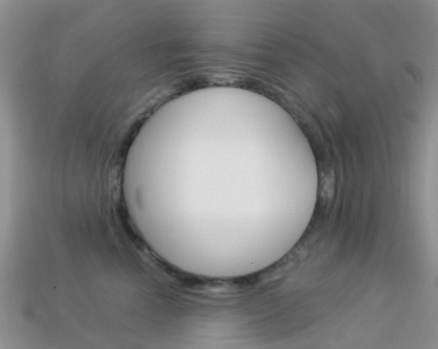 X0000114240666200910091350