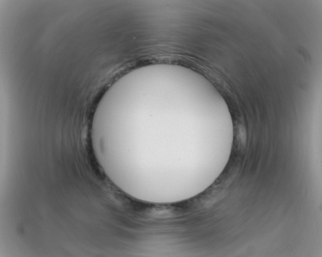 X0000114240668200910091350