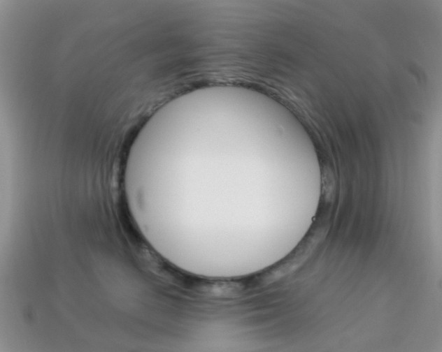 X0000114240670200910091350