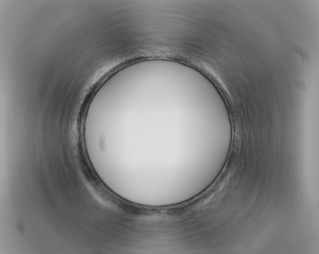 X0000114240674200910091349