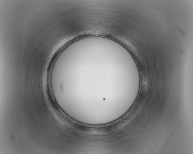X0000114240678200910091349
