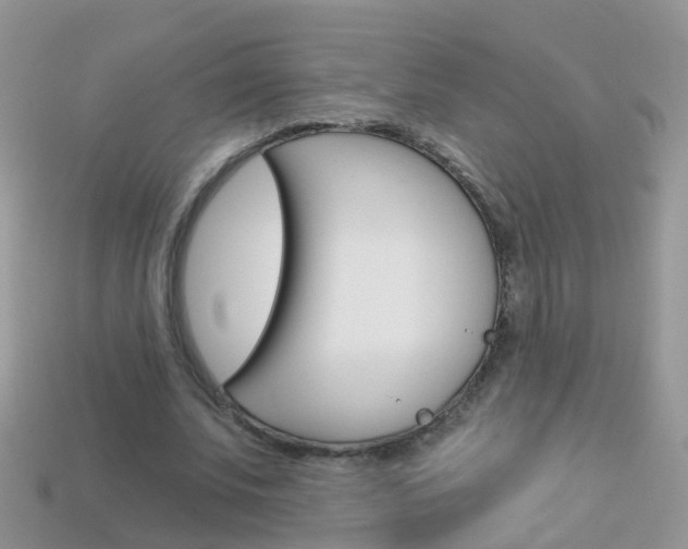 X0000114240679200910091349