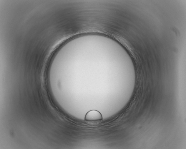 X0000114240680200910091349