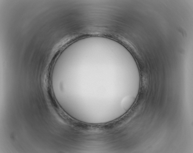 X0000114240682200910091349