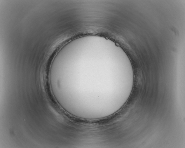 X0000114240683200910091349