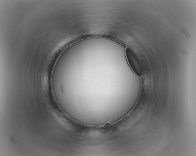 X0000114240684200910091349