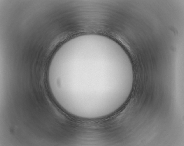 X0000114240685200910091349