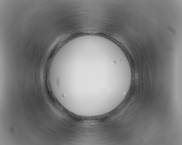 X0000114240686200910091349