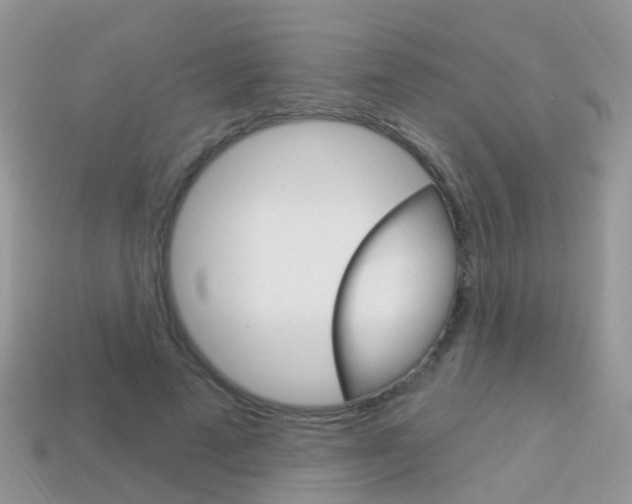 X0000114240689200910091349