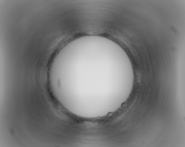 X0000114240690200910091349