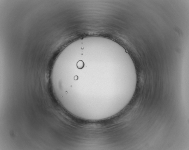 X0000114240691200910091349
