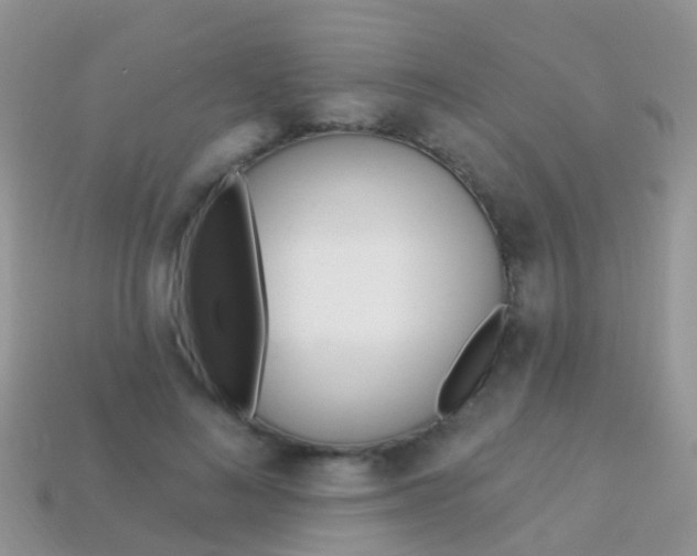 X0000114240692200910091349