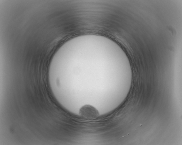 X0000114240693200910091349